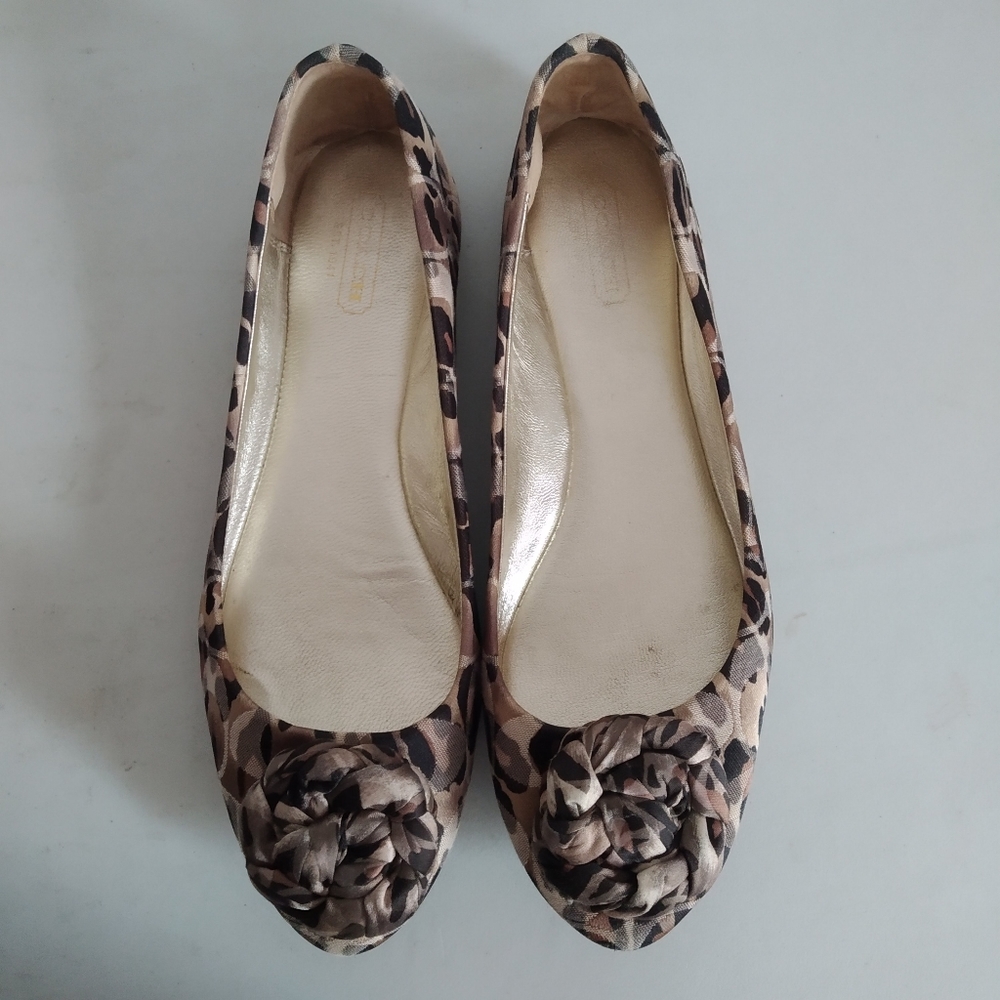 Coach Mimsy Ocelot Ballerina Flats